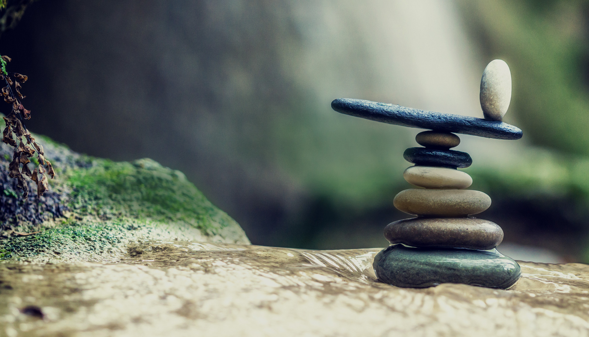 Balancing Mind and Body